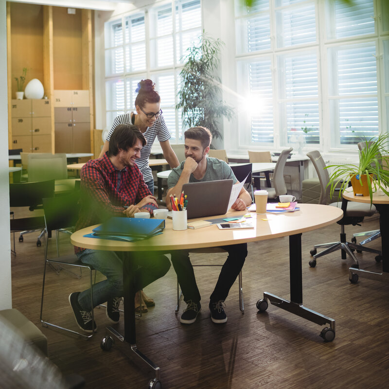 Professional team collaborating on web design project - full-service solutions